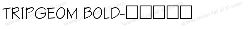TRIPGEOM BOLD字体转换
